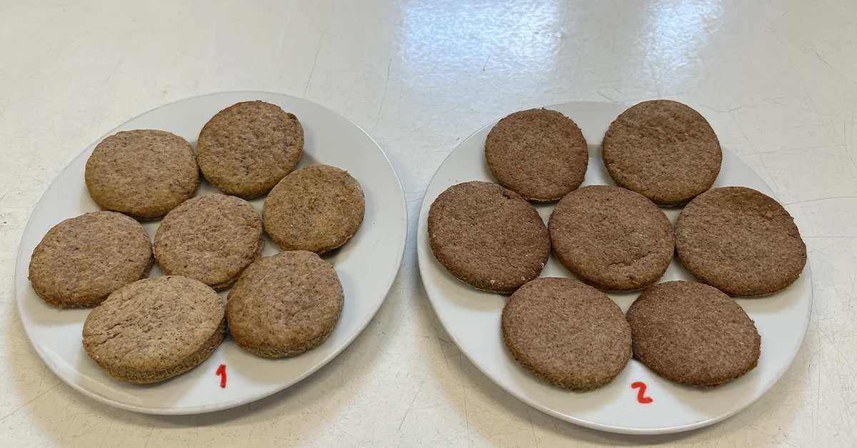 Insect Cookies